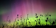 3 BRILLIANT MINUTES: Night lights, and more