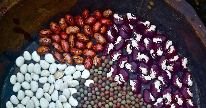Looking for New Orleans home and garden events? Check out these options.