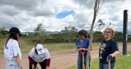 Logra Medio Ambiente sembrar más de 18 mil árboles en Querétaro