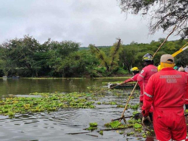 Complican lluvias la extracción del lirio acuático en Yosocuta