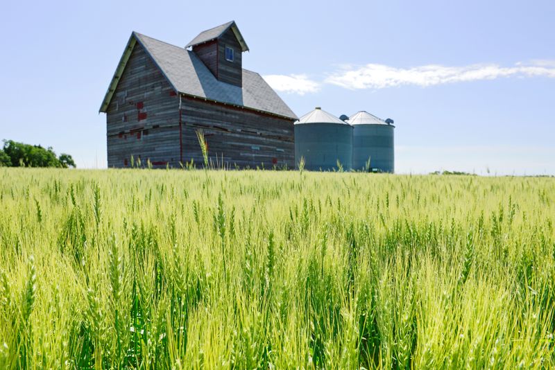US farmers face 'financial calamity' without extra aid soon, Republican lawmakers say