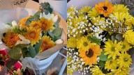 Las flores amarillas, el "boom" del Día de la Primavera en Almirante Brown