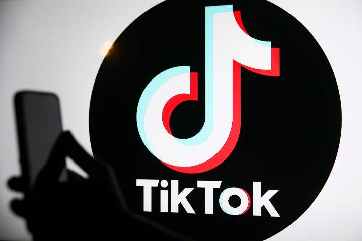 Popular TikTok influencer dies at 14