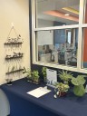Auburn Public Library launches Houseplant Propagation Station