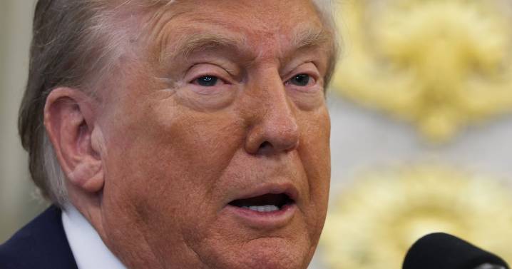 Trump Gives Bonkers Explanation for White House Window Video