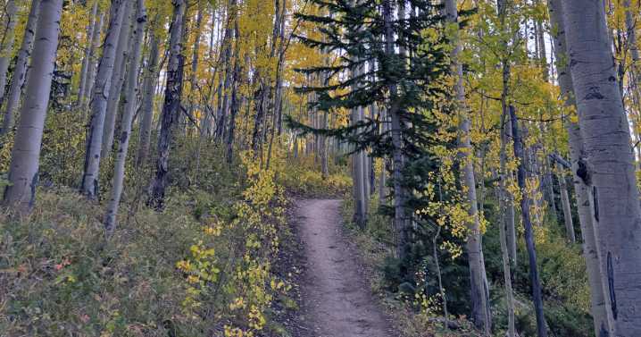 Great fall hikes: Aspen Alley Trail in Breckenridge 