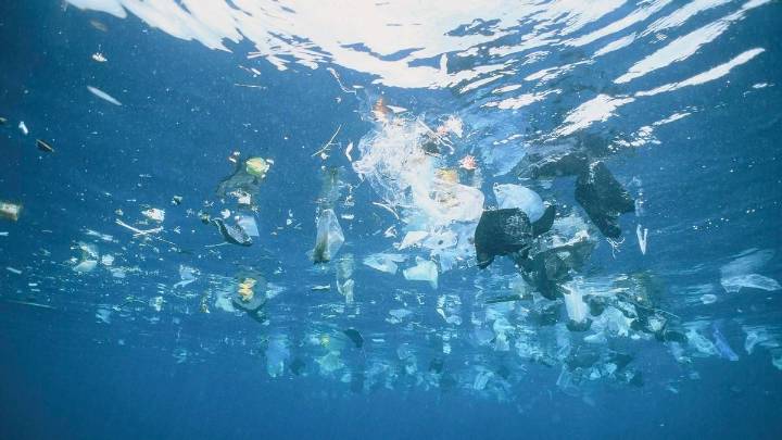 Todo el océano del mundo está atrapado en una "triple crisis planetaria": cambio climático, pérdida de biodiversidad y contaminación