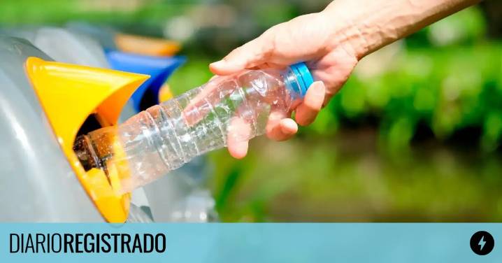 ¿Hay que lavar el plástico antes de tirarlo? Estos son los mitos del reciclaje que la ciencia explicó