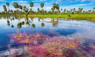 Gestión ambiental: la provincia impulsa encuentros para fortalecer áreas protegidas