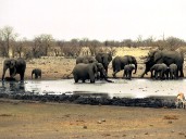 Namibia deploys army to fight fire in one of Africa’s largest reserves