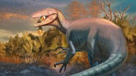 Scientists discover a new dinosaur from Argentina with a crocodile bone in its mouth