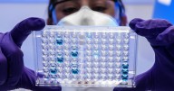 New antibiotic beats deadly superbug in trials
