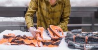 Carne de tiburón en peligro crítico de extinción se vende por $2.99 en tiendas de Estados Unidos: presenta etiquetado ambiguo o incorrecto