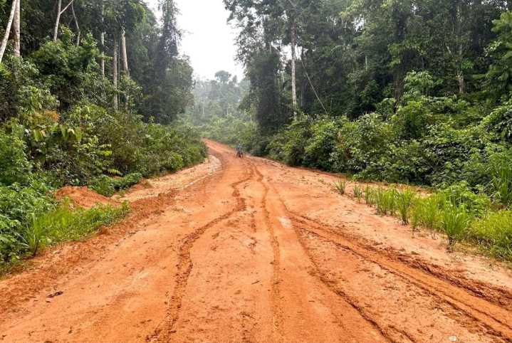 Deforestación y cultivo de coca en vía que llega a frontera con Brasil