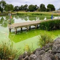 UK's largest lake 'dying' as algae blooms worsen