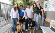 Jóvenes del DIF Municipal entrenarán a perros rescatados
