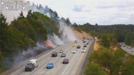 Beacon Hill brush fire caused accidentally, investigators say
