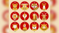 Animales del Horóscopo Chino: descubrí las características de cada signo y con cuáles sos más compatible