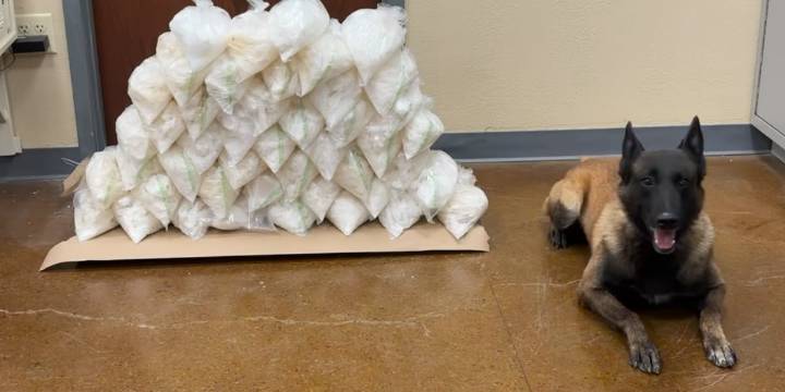 Mesquite police discover $530K worth of crystal meth in drug bust, man arrested