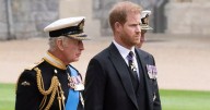 Prince Harry hits out at those 'intent on sabotaging reunion' with King