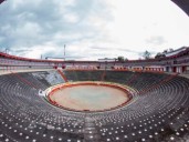 PULSO POLÍTICO Adiós a los toros y cabalgatas en Colombia