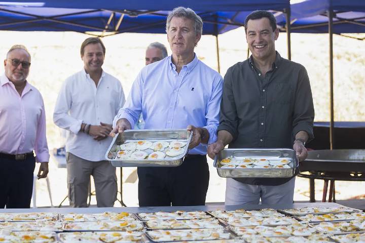 Feijóo coge fuerzas en Málaga para "preparar a España para el cambio": "Donde hoy hay puteros y tuiteros entrarán los servidores públicos"