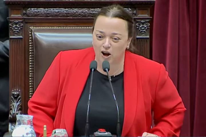 Ante la ausencia de Martín Menem. La corrida de Cecilia Moreau para abrir la sesión en Diputados