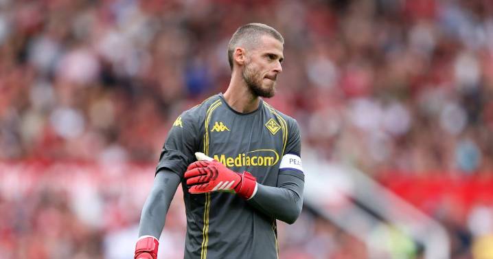 David De Gea supported after ex-Man United goalkeeper shows true colours with brilliant gesture
