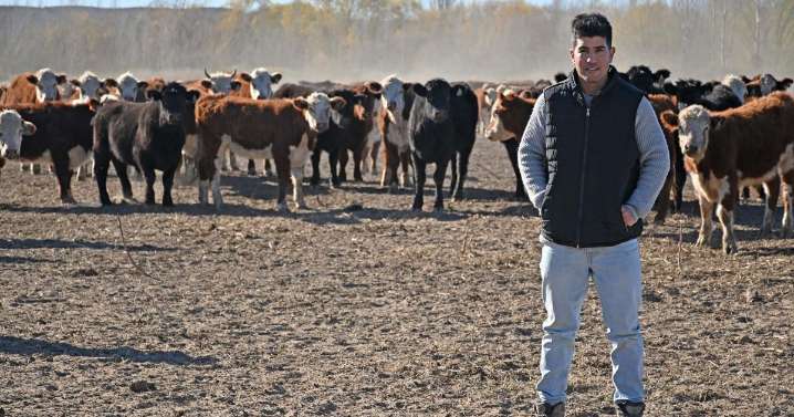 Cómo hizo este productor de Río Negro para lograr 2.200 kilos de carne por hectárea a campo