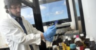 "Hoy solo existen dos fármacos para tratar el Chagas y son los mismos desde los 60"