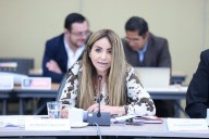 Diputada de Morena pide la no reelección y nepotismo en Guanajuato