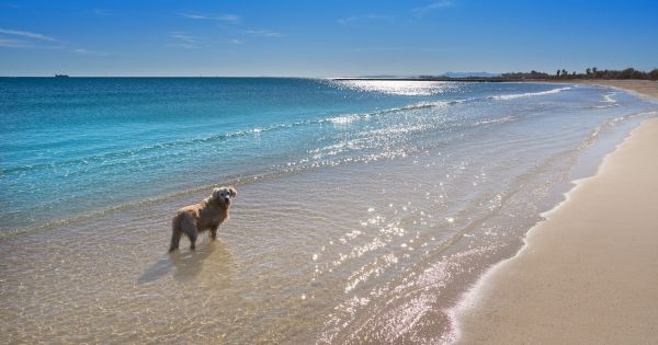 Esta playa a menos de dos horas de Madrid en tren es una de las más hermosas y menos conocidas del país