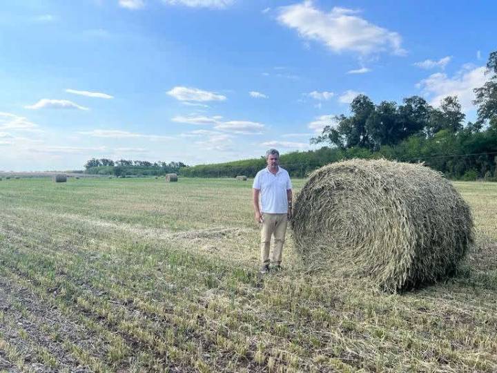 Desde CARBAP entienden que el voto rural “no fue determinante»