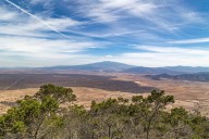 Mamíferos del valle de Perote. Endemismos y extinciones