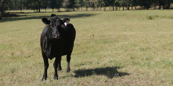 Missouri deploys resources to help farmers after year of flood, drought