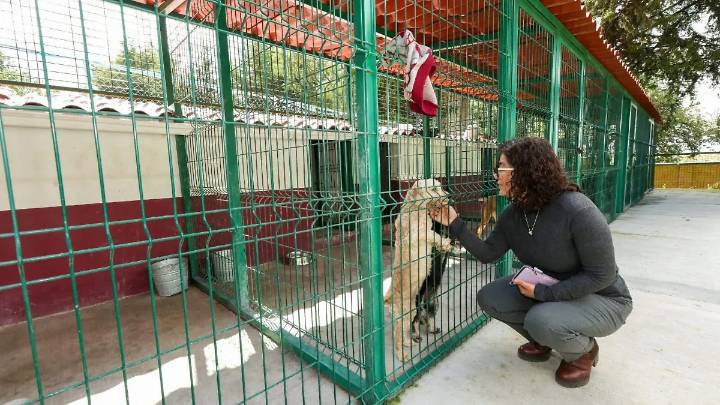 UAEMex y CEPANAF fortalecen el bienestar animal en el Estado de México