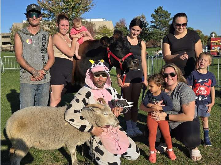 Walk with Cows fundraiser in Cornwall keeps growing