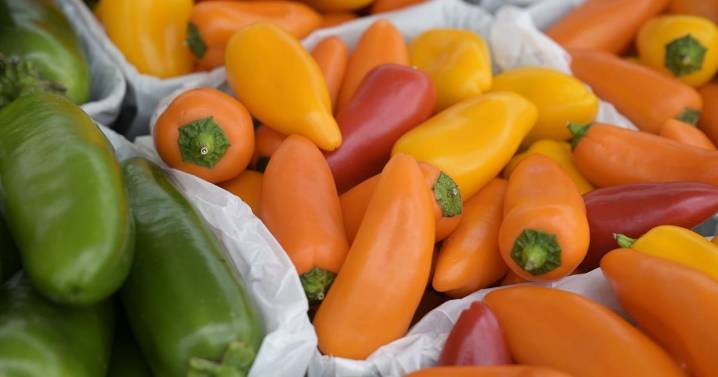 A feast of Farmers Markets enrich St. Tammany Parish