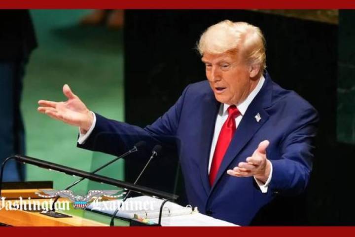 Has Trump woken up to Putin's Ukraine game?