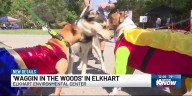 Families, four-legged friends enjoy ‘Waggin in the Woods’ event in Elkhart