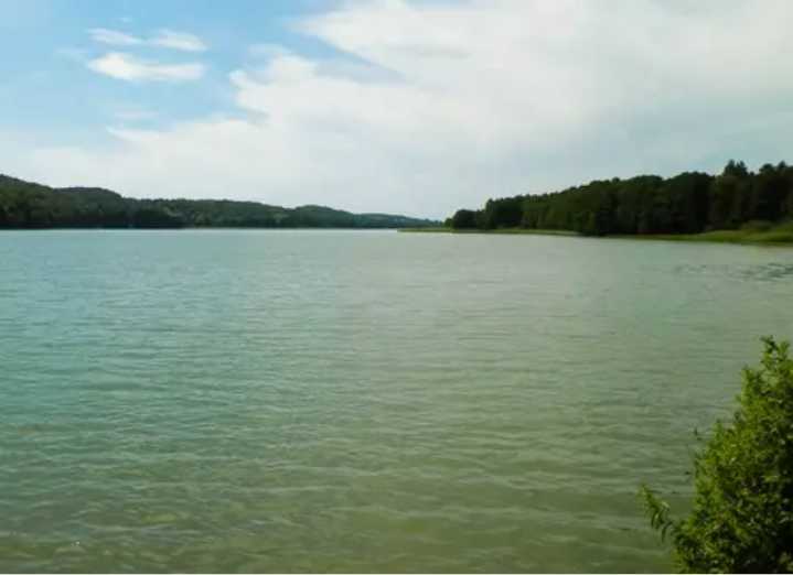 Detectan más algas tóxicas en aguas del lago Wylie