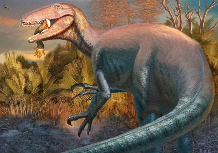 Joaquinraptor, el dinosaurio patagónico que murió con un hueso en la boca