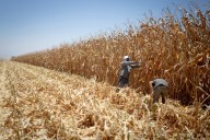 Trazabilidad para impulsar un sistema agroalimentario más sostenible