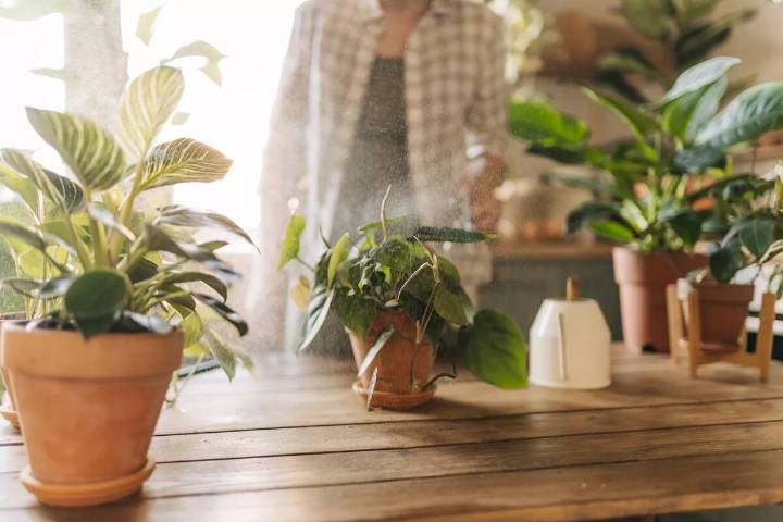 Cuánto cobran los caseros en octubre