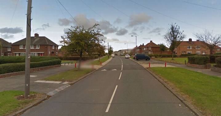 Woman and teen allegedly caused unnecessary suffering to four dogs at Berwick Hills home