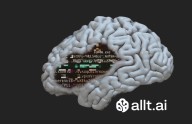 This former Progressive executive believes damaged brains could solve AI’s biggest problem