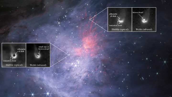 Baby 'failed star' has unusually rich planet-forming disk, James Webb Space Telescope finds