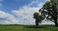Construction begins for Light Up Livingston broadband project