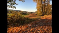 Here's when western Washington will see peak fall colors