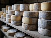 FDA alerta: retiro de quesos Middlefield por contaminación con listeria
